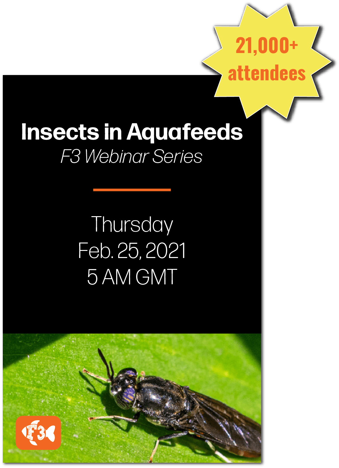 InsectsWebinar_400x600px_star-min