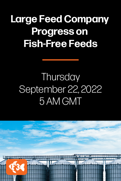 LargeFeedCompanyWebinar_400x600px